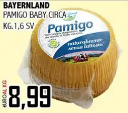 Big Food Bayernland pamigo baby circa offerta