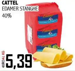 Big Food Cattel edamer stanghe offerta