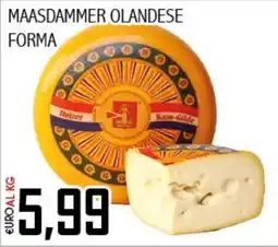 Big Food Maasdammer olandese forma offerta