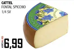 Big Food Cattel fontal spicchio offerta