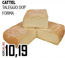 Big Food Cattel taleggio DOP forma offerta