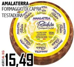Big Food Amalaterra formaggio di capra testadura offerta