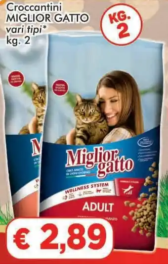 Paghi Poco Miglior Gatto Croccantini vari tipi 2 kg offerta