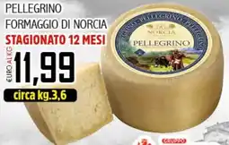 Big Food Pellegrino formaggio di norcia offerta