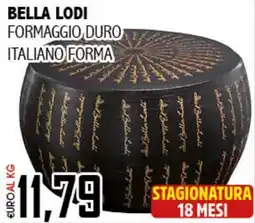Big Food Bella lodi formaggio duro italiano forma offerta