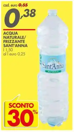 Italmark Acqua naturale/ frizzante SANT'ANNA offerta