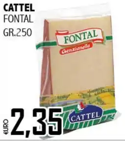 Big Food Cattel fontal offerta