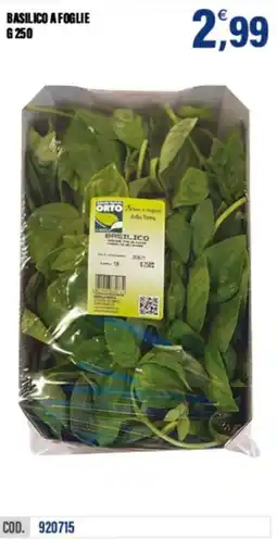 Adhoc Basilico a foglie offerta