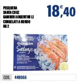 Adhoc Pesquera santa cruz gamberi argentini li congelati a bordo offerta