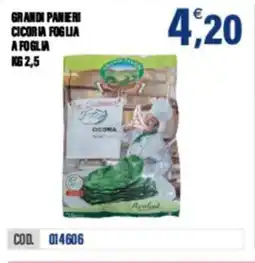 Adhoc Grandi panieri cicoria foglia a foglia offerta