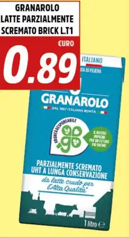 Big Food GRANAROLO latte parzialmente scremato brick offerta