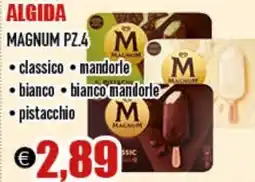 Big Food ALGIDA Magnum offerta