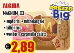 Big Food ALGIDA Magnum x3 offerta