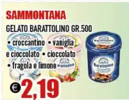 Big Food SAMMONTANA Gelato barattolino offerta