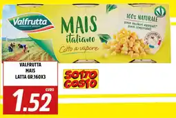 Big Food Valfrutta mais latta offerta