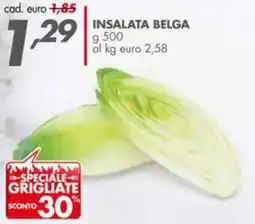 Italmark Insalata belga offerta