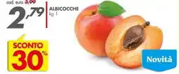 Italmark Albicocche offerta