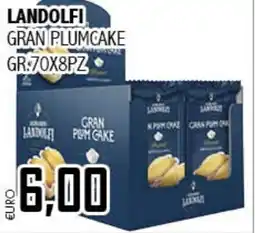 Big Food Landolfi gran plumcake offerta