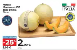 Carrefour Melone Mantovano IGP Terre d’Italia Sfuso offerta