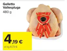 Carrefour Galletto Vallespluga offerta