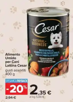 Carrefour Alimento Umido per Cani Lattina Cesar offerta