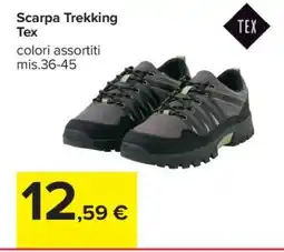 Carrefour Scarpa Trekking Tex offerta