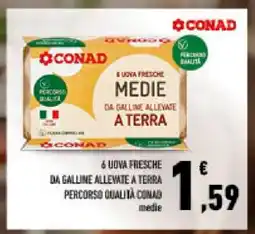 Conad 6 Uova Fresche offerta