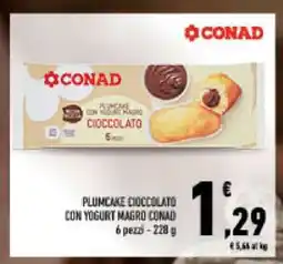 Conad PLUMCAKE CIOCCOLATO CON YOGURT MAGRO CONAD offerta