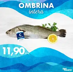 Iper Tosano OMBRINA intera offerta