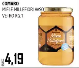 Big Food Comaro miele millefiori vaso vetro offerta