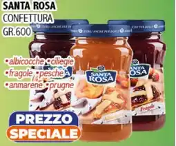 Big Food Santa rosa confettura offerta