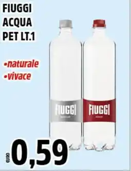 Big Food Fiuggi acqua pet offerta