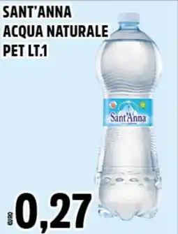 Big Food Sant'anna acqua naturale pet offerta