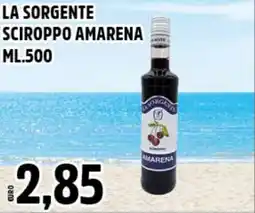Big Food La sorgente sciroppo amarena offerta