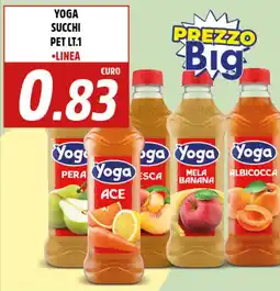 Big Food Yoga succhi pet offerta