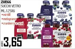 Big Food Zuegg succhi vetro offerta