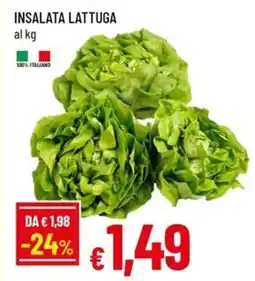 A&O Insalata lattuga offerta