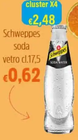 Big Food Schweppes soda vetro offerta