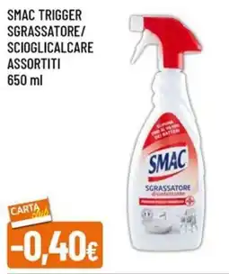 A&O Smac trigger sgrassatore/ scioglicalcare assortiti offerta
