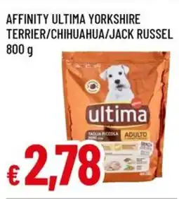 A&O Affinity ultima yorkshire terrier/chihuahua/jack russel offerta