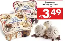 Deco Supermercati Sammontana Sorbettiera vari gusti offerta