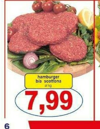 Hamburger b/a scottona