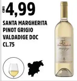 Big Food Santa margherita pinot grigio valdadige DOC offerta