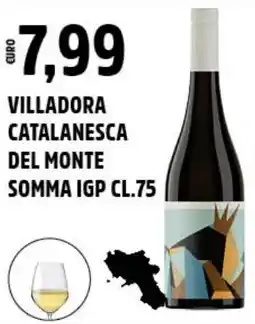 Big Food Villadora catalanesca del monte somma IGP offerta