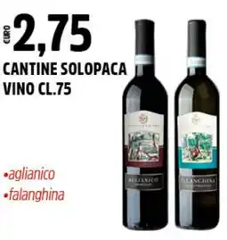 Big Food Cantine solopaca vino offerta