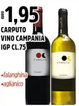 Big Food Carputo t vino campania IGP offerta