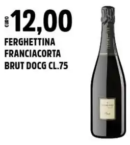 Big Food Ferghettina franciacorta brut DOCG offerta