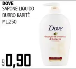 Big Food Dove sapone liquido burro karitè offerta