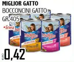 Big Food Miglior gatto bocconcini gatto offerta