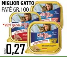 Big Food Miglior gatto patè offerta
